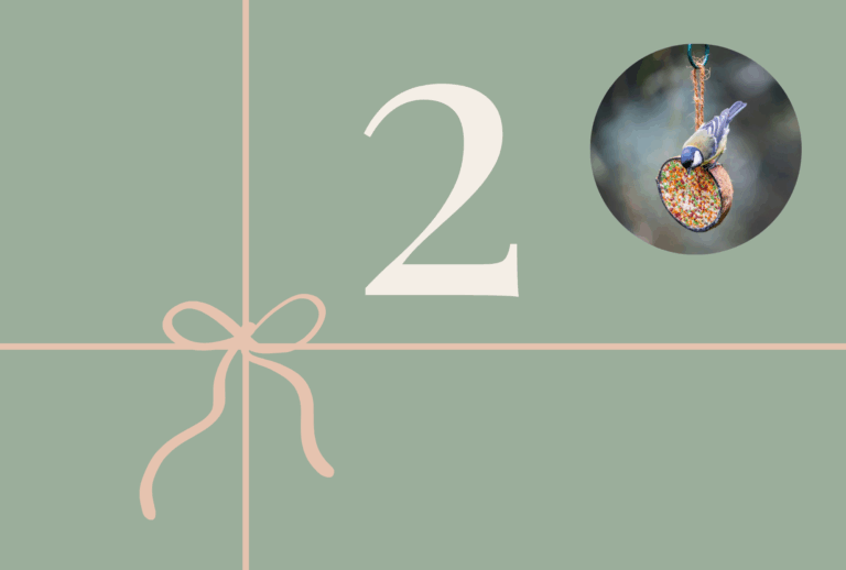 Duurzaam cadeau idee: vetbol voor in de tuin (of balkon)